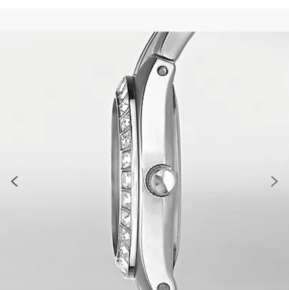 Relic fossil - Picture 5 of 7